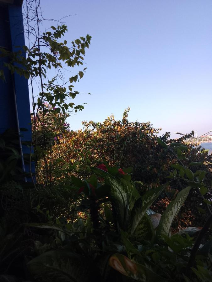 Nha Nghi Hang Nga دونغ هوي المظهر الخارجي الصورة